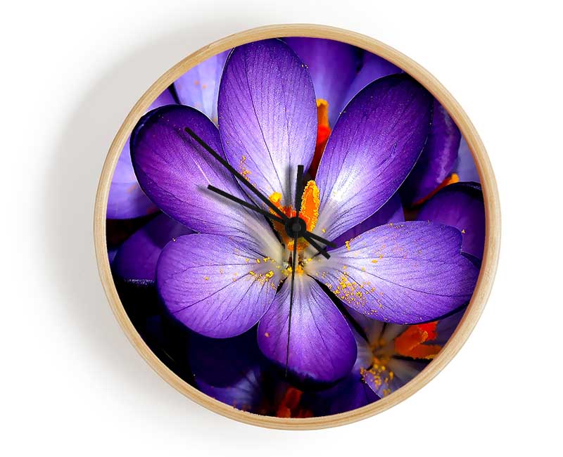 Crocuses Purple Clock - Wallart-Direct UK