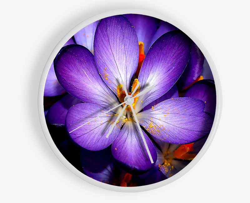 Crocuses Purple Clock - Wallart-Direct UK