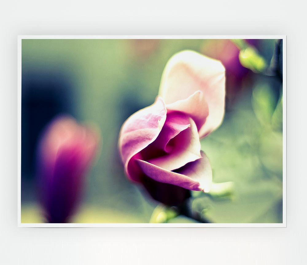 Bloom Print Poster Wall Art