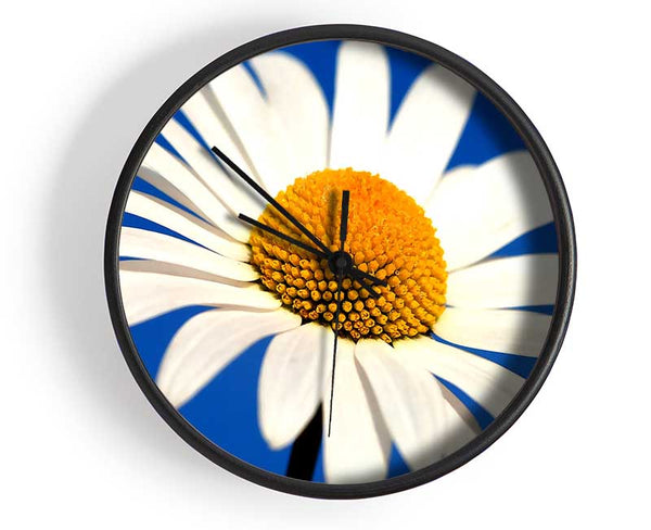 White Daisy Against A Blue Sky Clock - Wallart-Direct UK