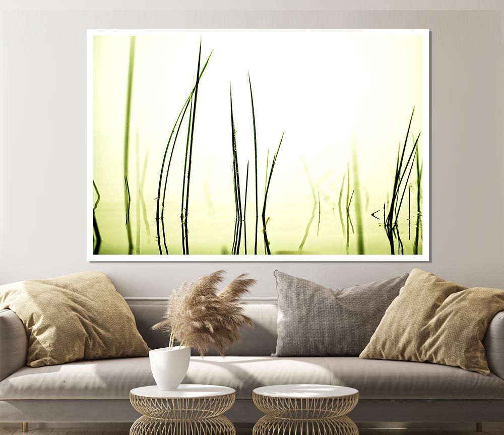 Water Grass Print Poster Wall Art