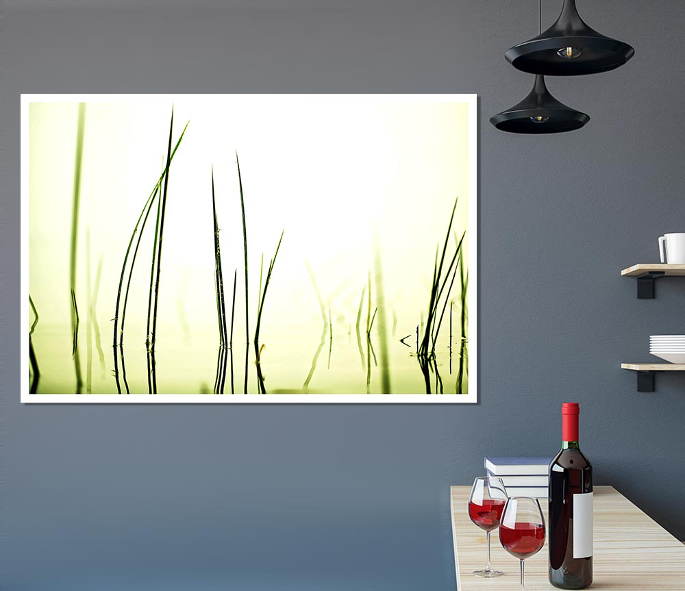 Water Grass Print Poster Wall Art