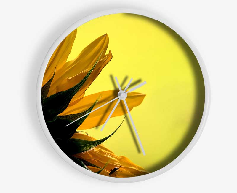 Sunflowers Macro Clock - Wallart-Direct UK