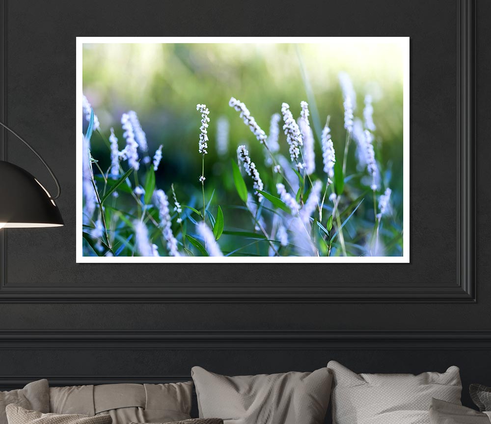 Blue Field Flowers Print Poster Wall Art