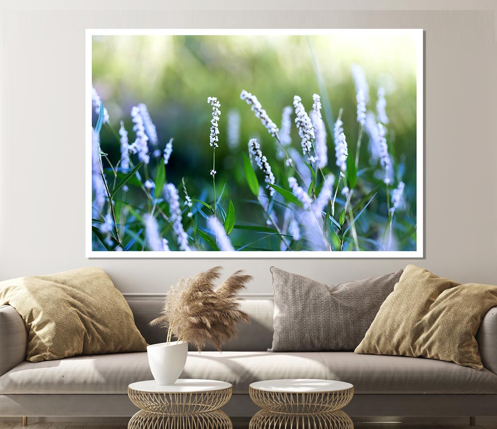 Blue Field Flowers Print Poster Wall Art