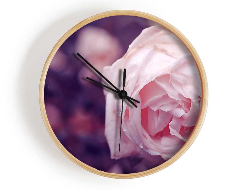 Delicate Pink Dew Rose Clock - Wallart-Direct UK