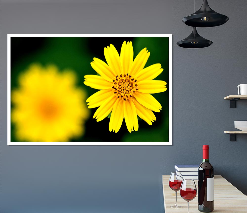 Beautiful Yellow Flower Print Poster Wall Art