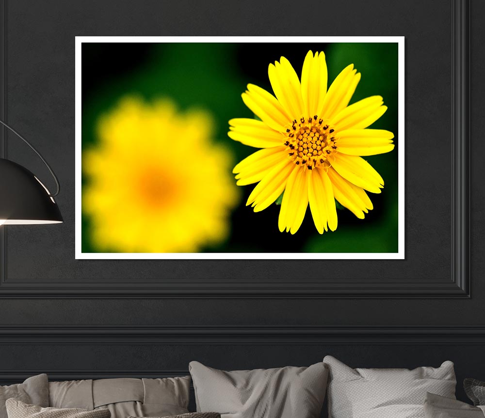 Beautiful Yellow Flower Print Poster Wall Art