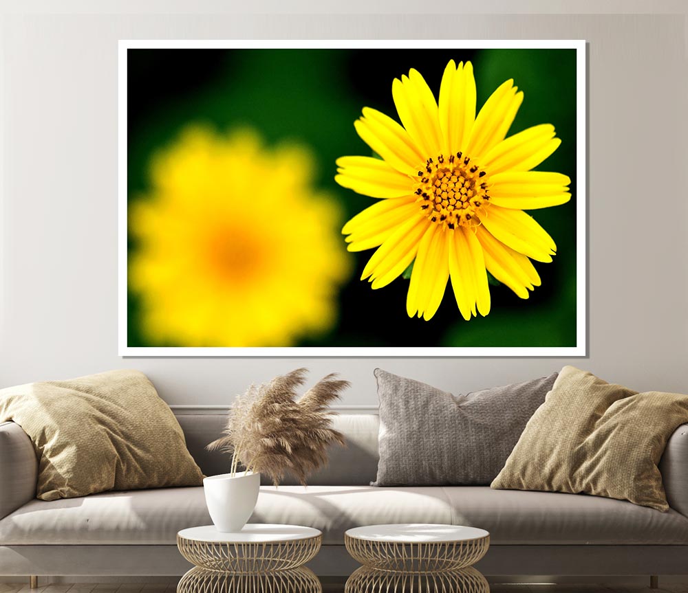 Beautiful Yellow Flower Print Poster Wall Art