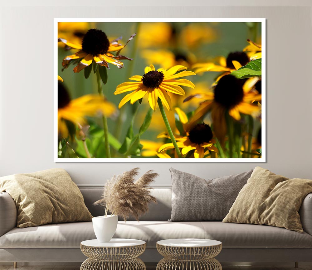 Yellow Flowers In The Garden Print Poster Wall Art