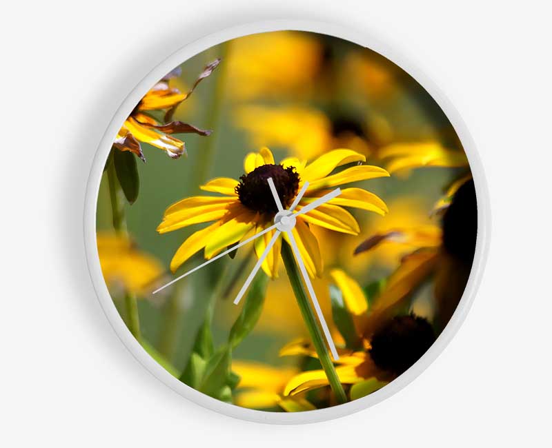 Yellow Flowers In The Garden Clock - Wallart-Direct UK