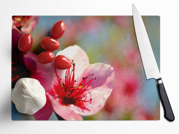 Pink Flower Cherry Tree Glass Chopping Board