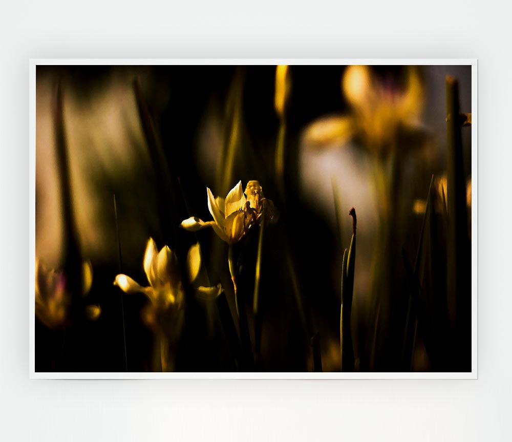 Withered Yellow Flowers Print Poster Wall Art