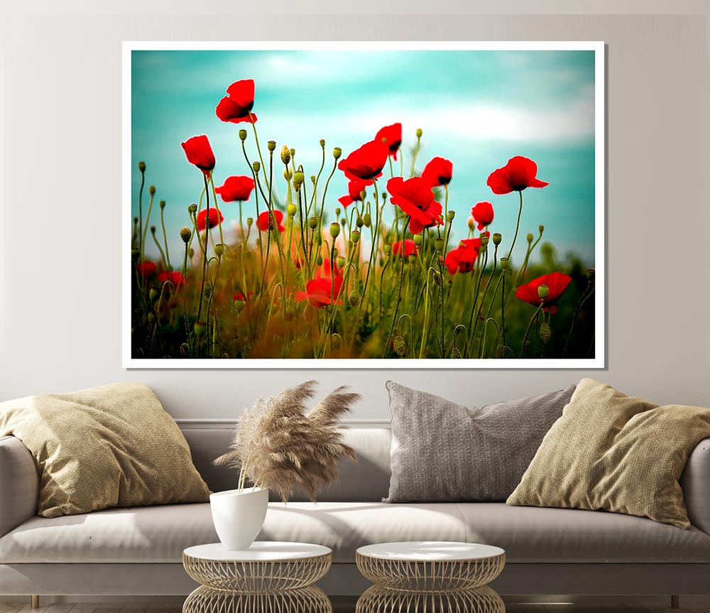 Beautiful Poppy Field Skies Print Poster Wall Art