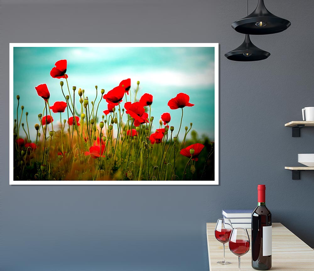 Beautiful Poppy Field Skies Print Poster Wall Art