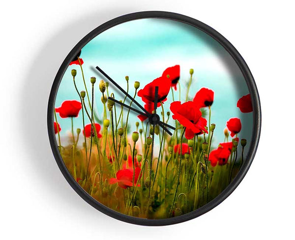 Beautiful Poppy Field Skies Clock - Wallart-Direct UK