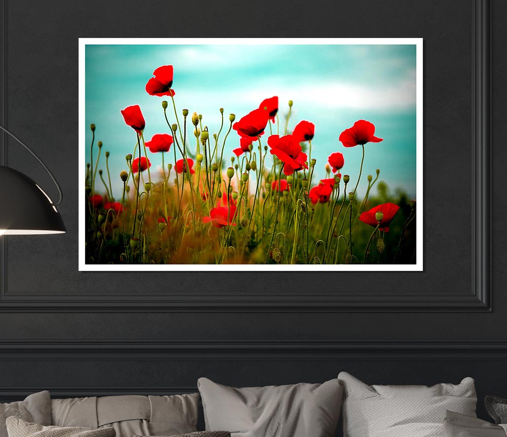 Beautiful Poppy Field Skies Print Poster Wall Art