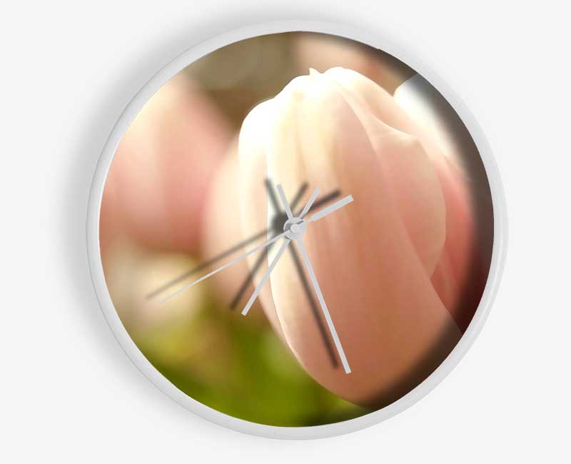 Baby Pink Tulip Clock - Wallart-Direct UK