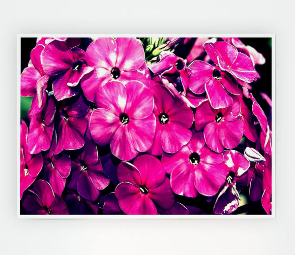 Fiore Print Poster Wall Art