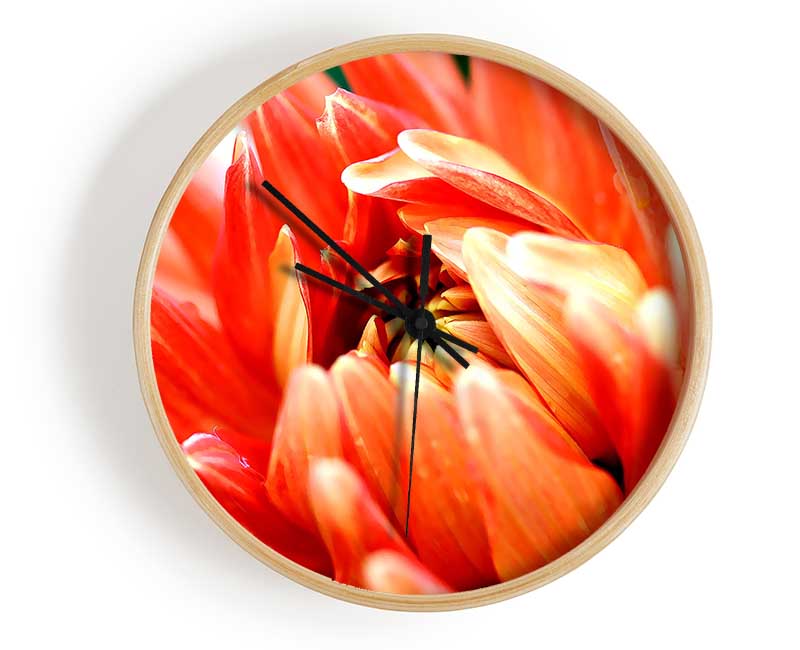 Orange Passion Clock - Wallart-Direct UK