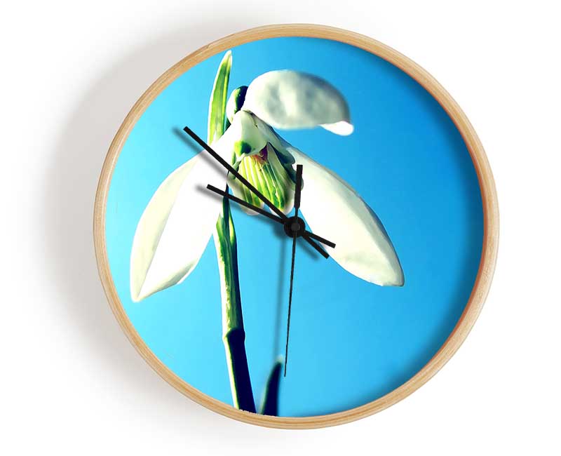 Snowdrop Spring Clock - Wallart-Direct UK