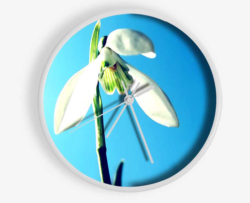 Snowdrop Spring Clock - Wallart-Direct UK