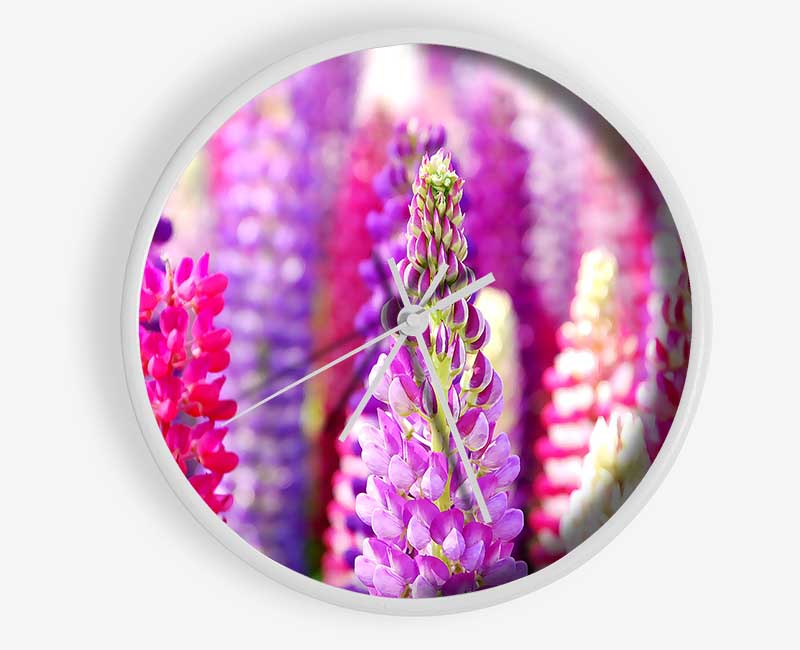 Pink And Purple Lupin Flowers Clock - Wallart-Direct UK