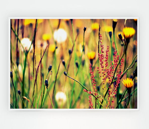 Flowers And Weeds Print Poster Wall Art