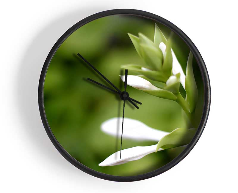 Soft White n Greens Clock - Wallart-Direct UK