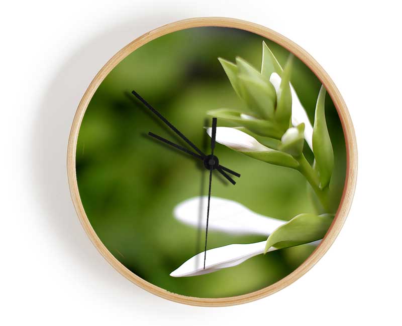 Soft White n Greens Clock - Wallart-Direct UK