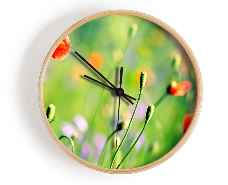 Poppy Meadow Clock - Wallart-Direct UK