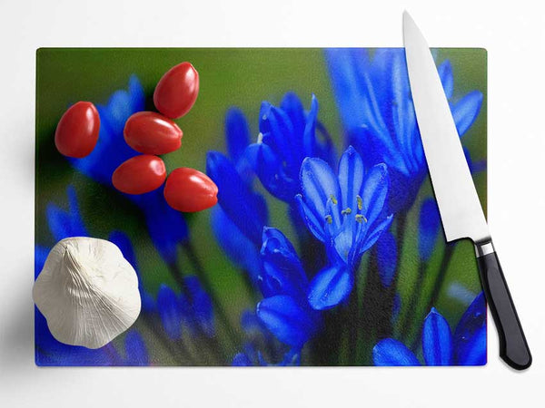 Blue Soft Look Glass Chopping Board