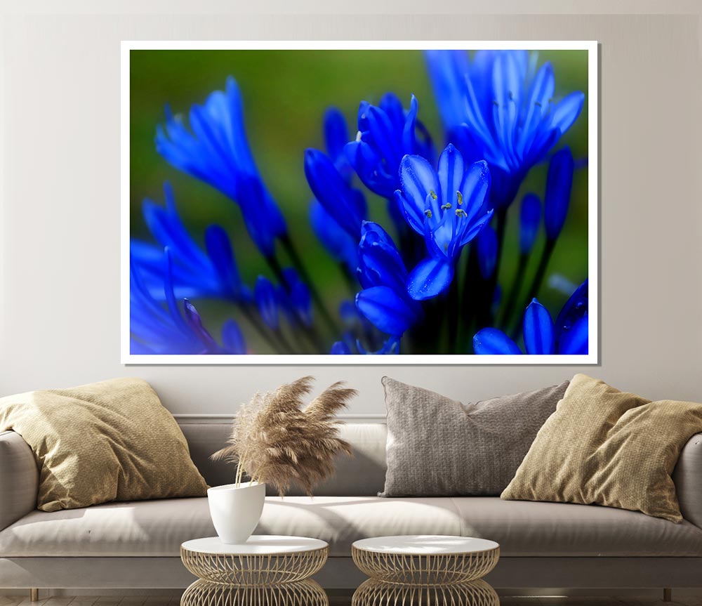 Blue Soft Look Print Poster Wall Art