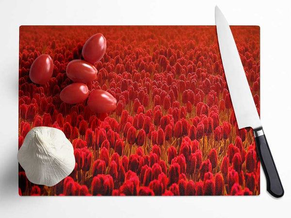 Field Of Scarlet Tulips Glass Chopping Board