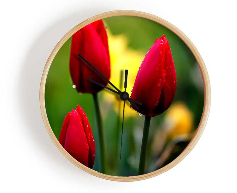 Three Red Tulips Clock - Wallart-Direct UK