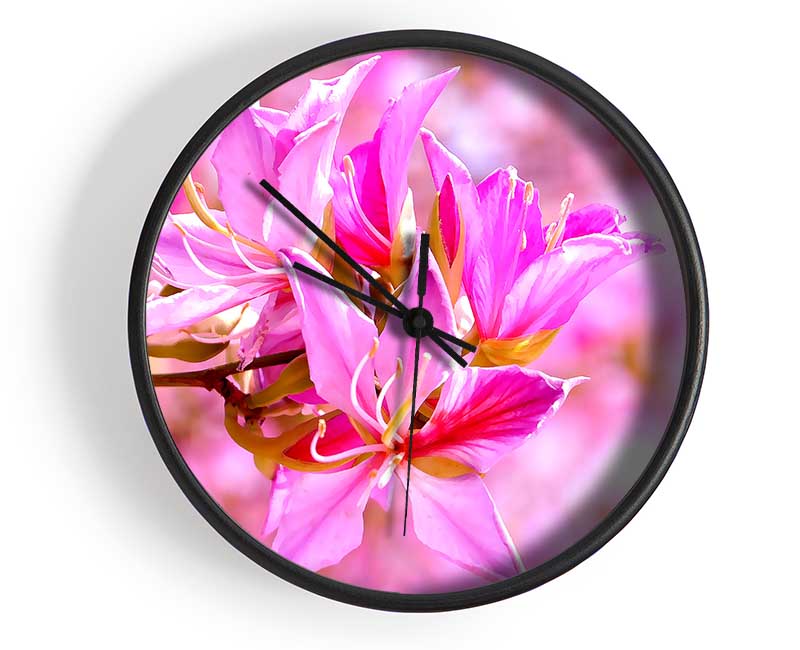 Stunning Deep Pink Flowers Clock - Wallart-Direct UK