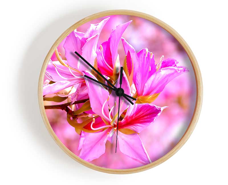 Stunning Deep Pink Flowers Clock - Wallart-Direct UK