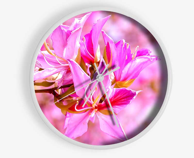 Stunning Deep Pink Flowers Clock - Wallart-Direct UK