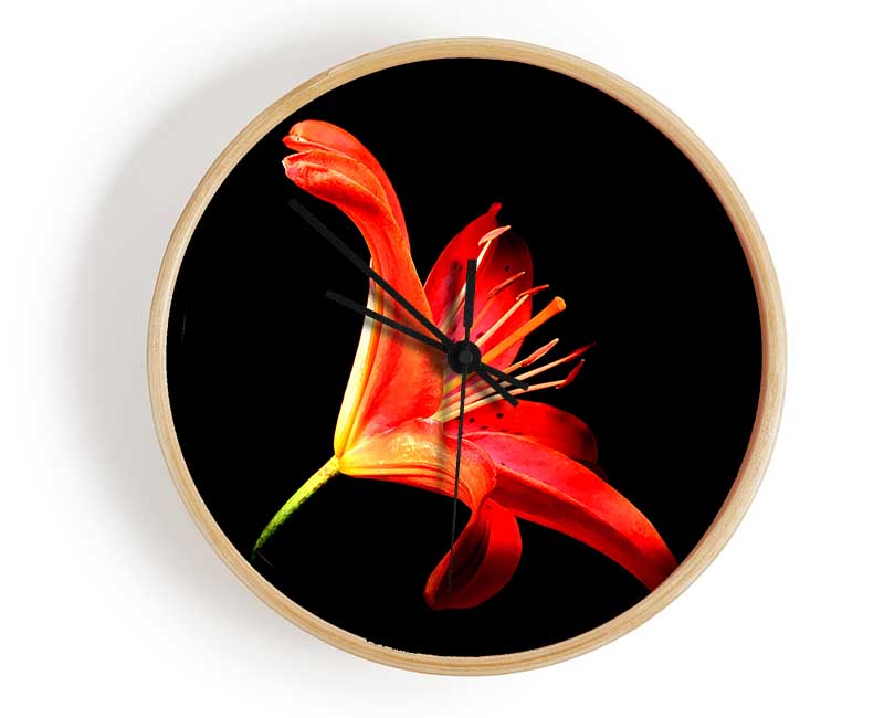 Flower In Space Clock - Wallart-Direct UK