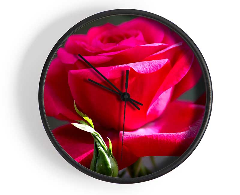 Red Pink Rose Clock - Wallart-Direct UK