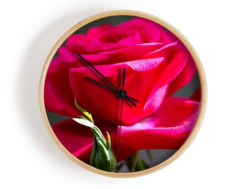 Red Pink Rose Clock - Wallart-Direct UK