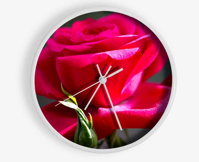 Red Pink Rose Clock - Wallart-Direct UK