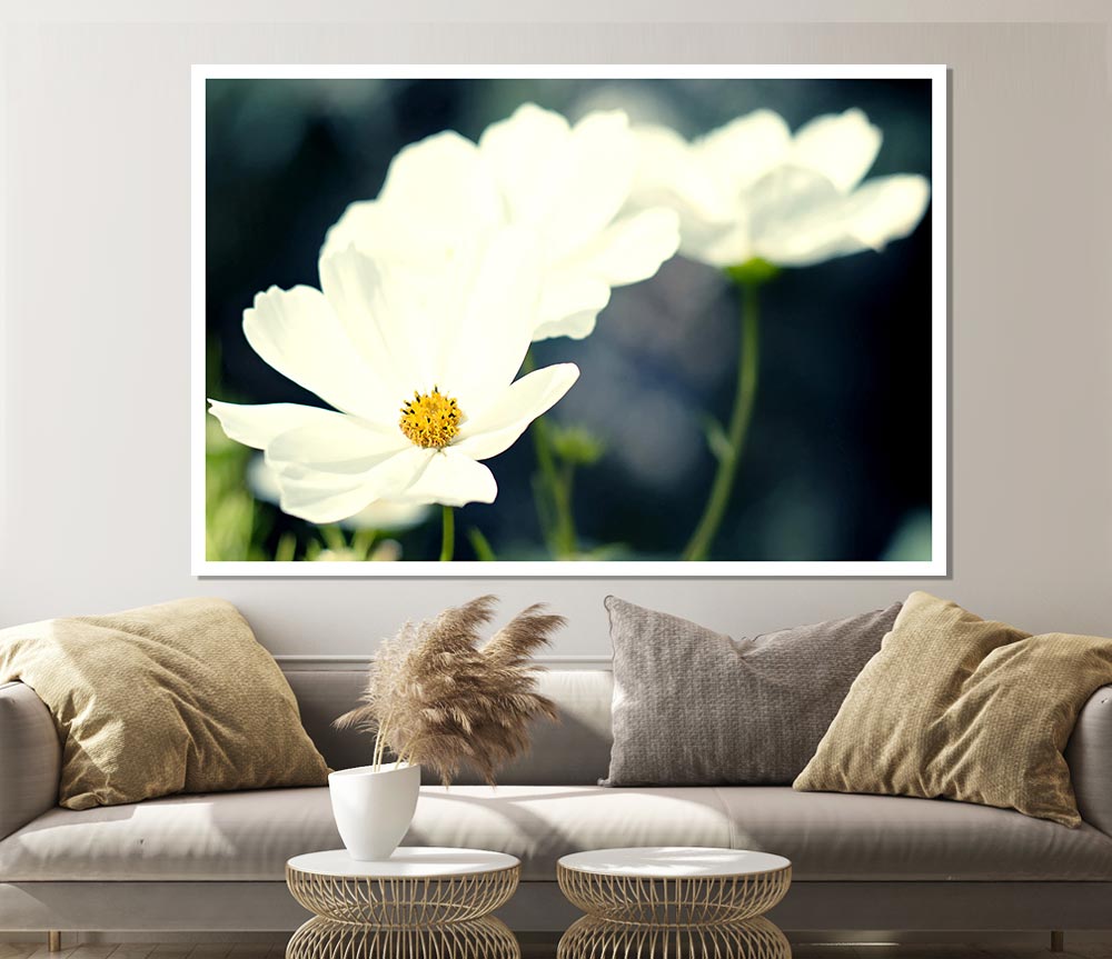 Beautiful Soft White Petals Print Poster Wall Art