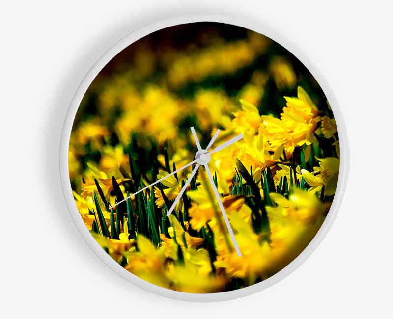 Yellow Daffodil Field Clock - Wallart-Direct UK