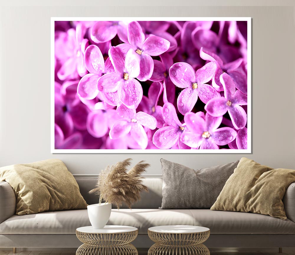 Lilac Flowers Macro Print Poster Wall Art