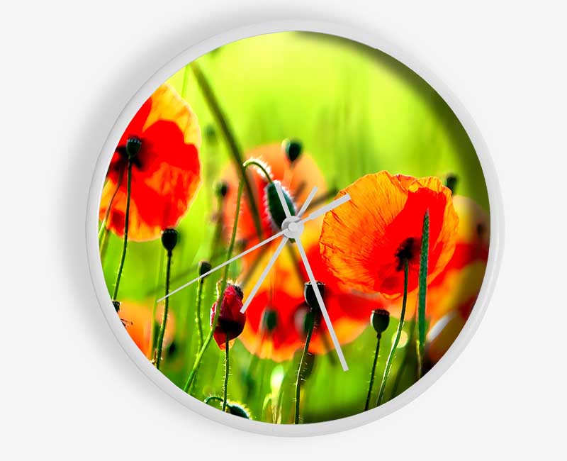 Beautiful Poppies Clock - Wallart-Direct UK