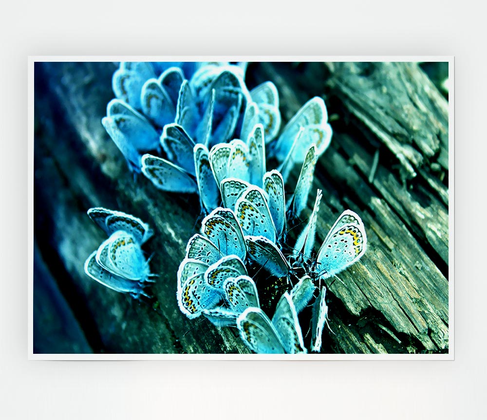 Blue Butterflies Print Poster Wall Art