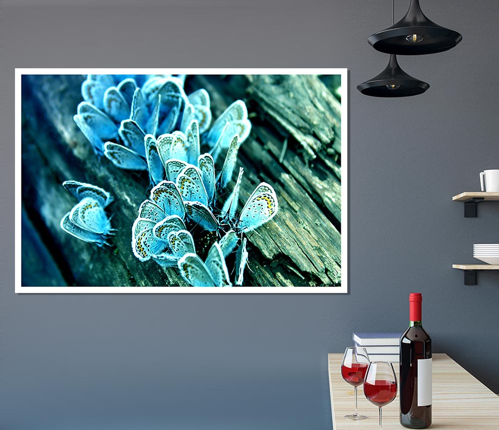 Blue Butterflies Print Poster Wall Art