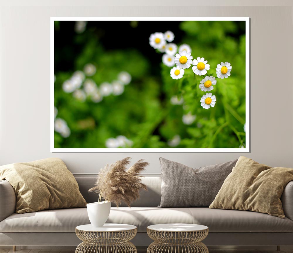 Floral Delight Print Poster Wall Art