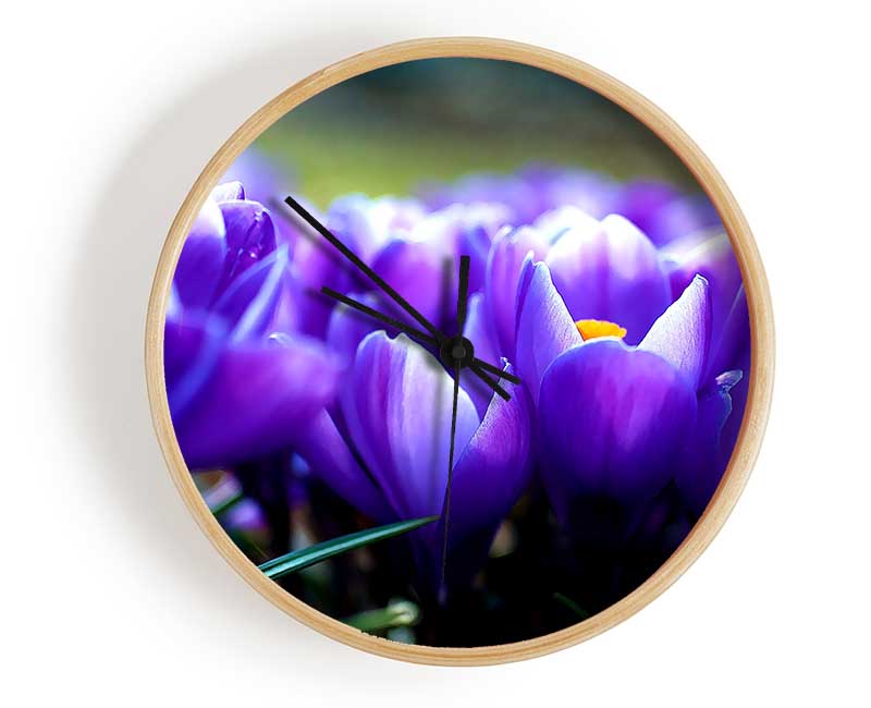 Purple Crocus Garden Clock - Wallart-Direct UK